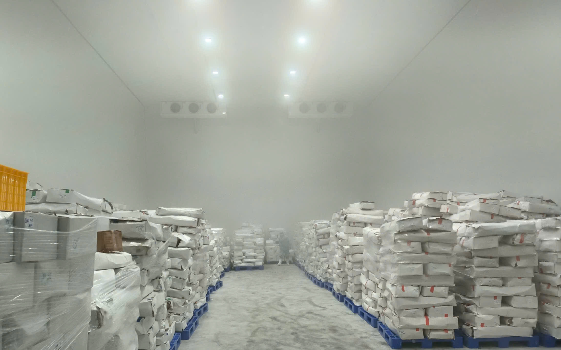 Kho trữ đông công nghiệp: Giải pháp bảo quản thực phẩm và thủy sản hiệu quả